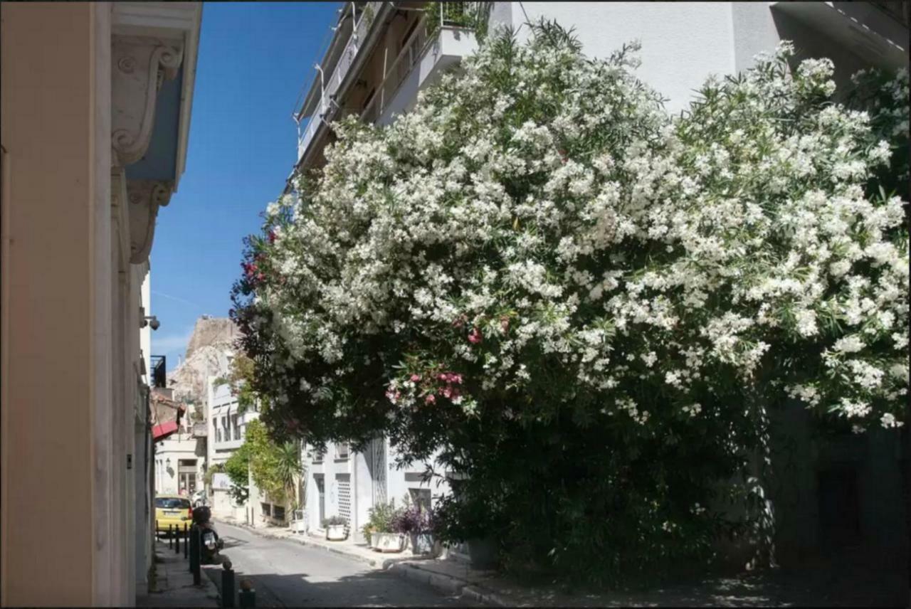 Vintage Charm By The Acropolis! Διαμέρισμα Αθήνα Εξωτερικό φωτογραφία